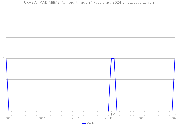 TURAB AHMAD ABBASI (United Kingdom) Page visits 2024 