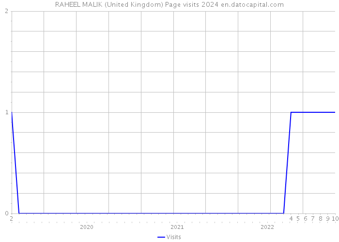 RAHEEL MALIK (United Kingdom) Page visits 2024 