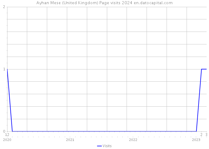 Ayhan Mese (United Kingdom) Page visits 2024 