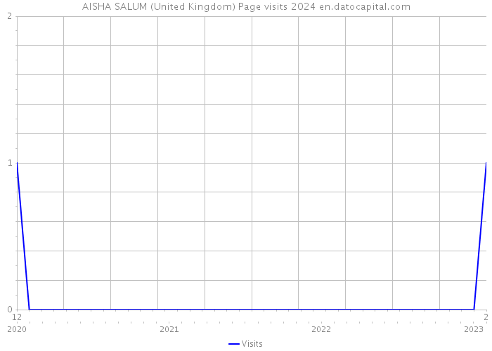 AISHA SALUM (United Kingdom) Page visits 2024 