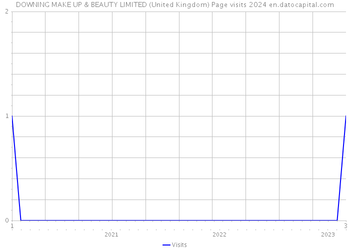 DOWNING MAKE UP & BEAUTY LIMITED (United Kingdom) Page visits 2024 