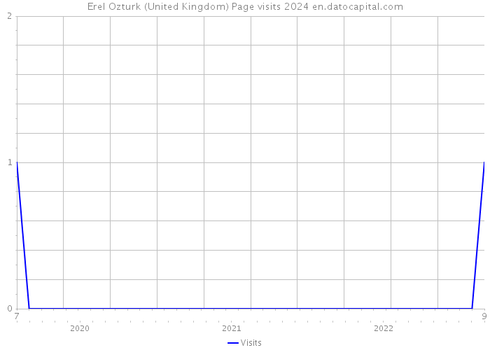 Erel Ozturk (United Kingdom) Page visits 2024 