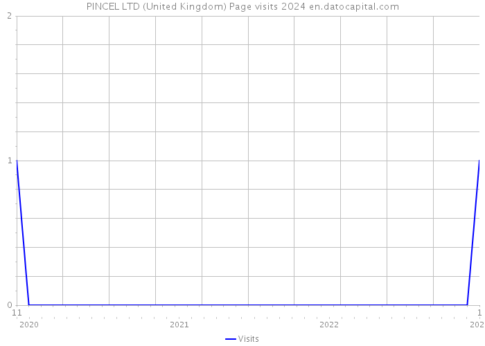 PINCEL LTD (United Kingdom) Page visits 2024 