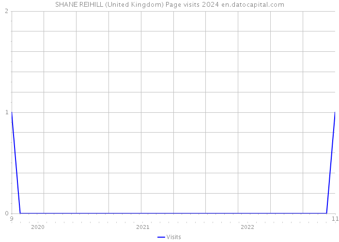 SHANE REIHILL (United Kingdom) Page visits 2024 