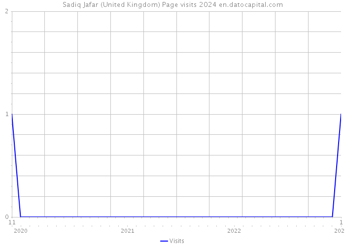 Sadiq Jafar (United Kingdom) Page visits 2024 