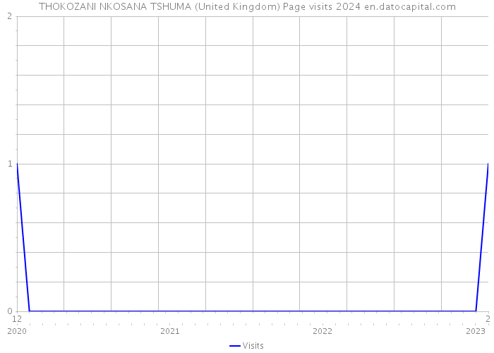 THOKOZANI NKOSANA TSHUMA (United Kingdom) Page visits 2024 