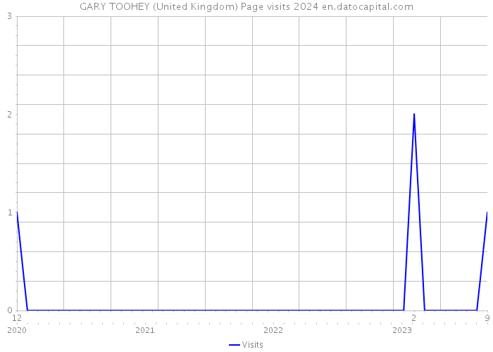 GARY TOOHEY (United Kingdom) Page visits 2024 