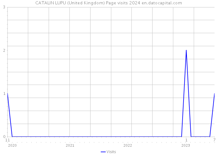 CATALIN LUPU (United Kingdom) Page visits 2024 
