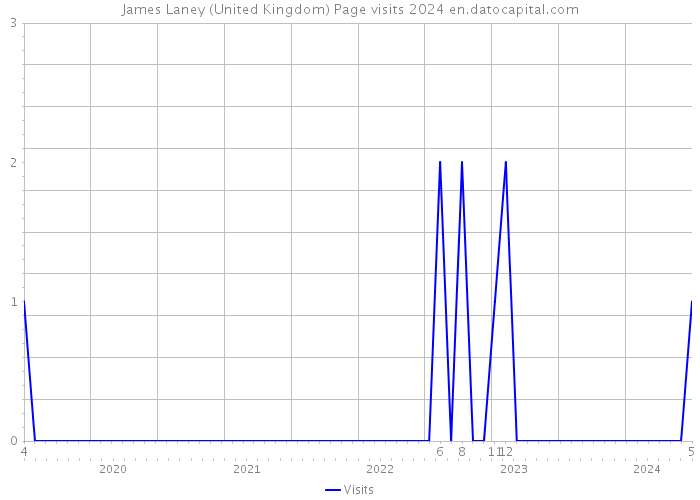 James Laney (United Kingdom) Page visits 2024 