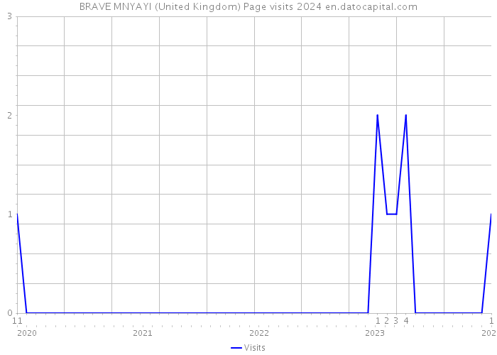 BRAVE MNYAYI (United Kingdom) Page visits 2024 