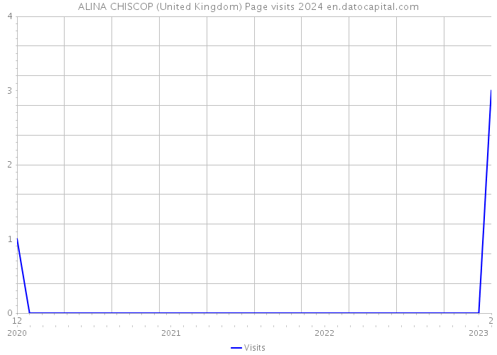 ALINA CHISCOP (United Kingdom) Page visits 2024 