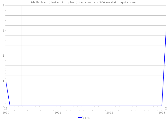 Ali Badran (United Kingdom) Page visits 2024 
