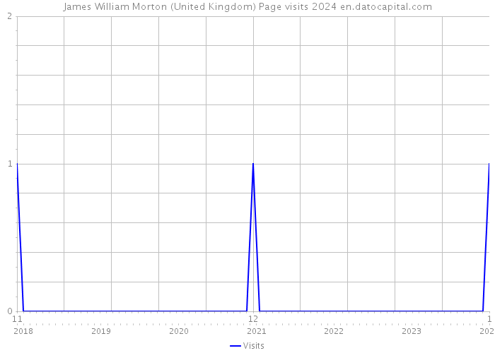James William Morton (United Kingdom) Page visits 2024 