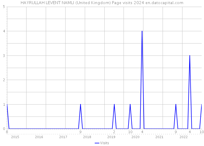 HAYRULLAH LEVENT NAMLI (United Kingdom) Page visits 2024 
