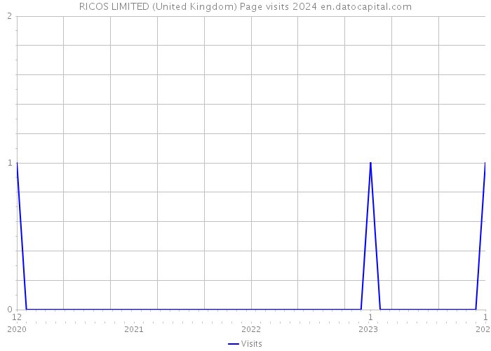 RICOS LIMITED (United Kingdom) Page visits 2024 