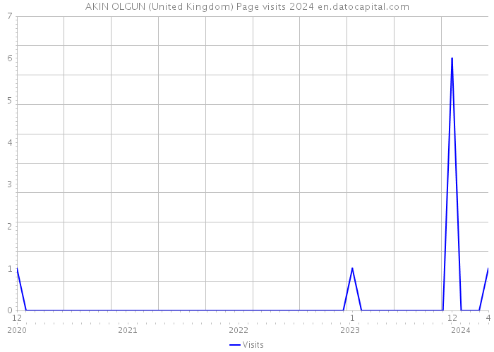 AKIN OLGUN (United Kingdom) Page visits 2024 