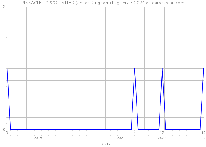 PINNACLE TOPCO LIMITED (United Kingdom) Page visits 2024 