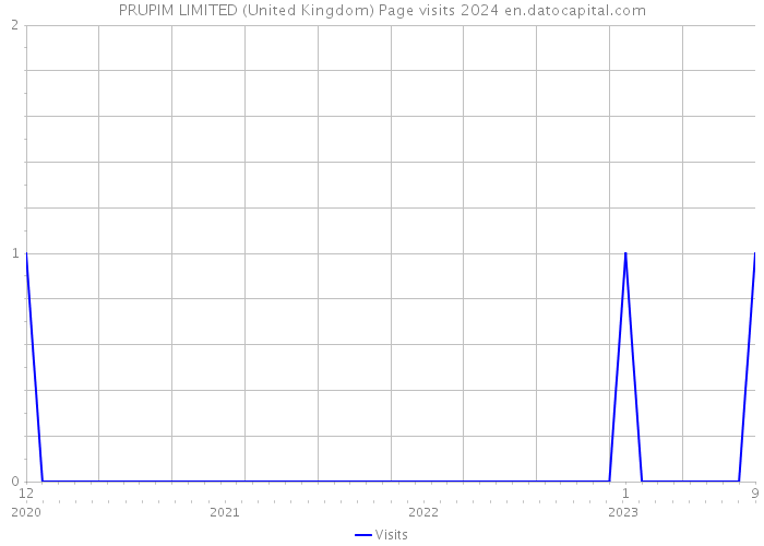 PRUPIM LIMITED (United Kingdom) Page visits 2024 