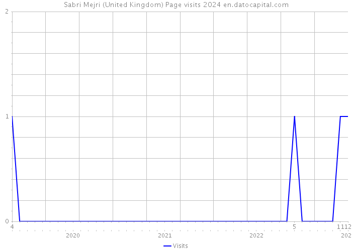 Sabri Mejri (United Kingdom) Page visits 2024 
