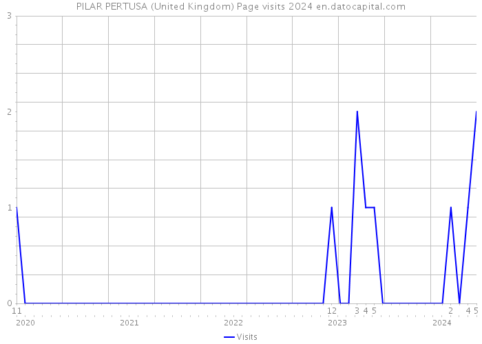 PILAR PERTUSA (United Kingdom) Page visits 2024 