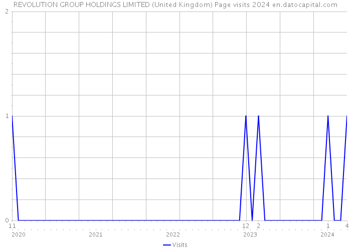 REVOLUTION GROUP HOLDINGS LIMITED (United Kingdom) Page visits 2024 