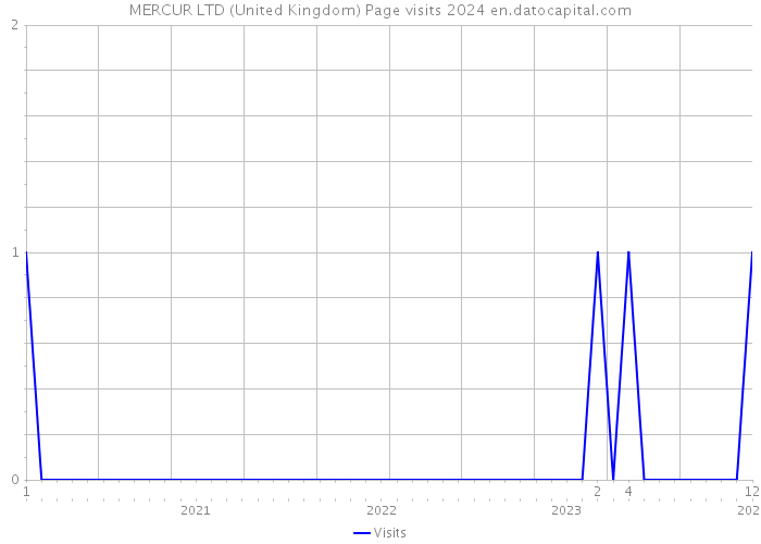 MERCUR LTD (United Kingdom) Page visits 2024 