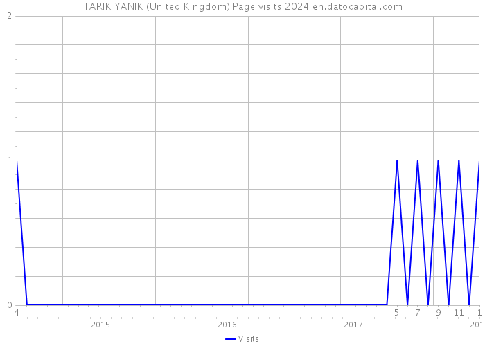TARIK YANIK (United Kingdom) Page visits 2024 