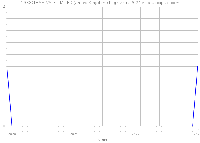 19 COTHAM VALE LIMITED (United Kingdom) Page visits 2024 
