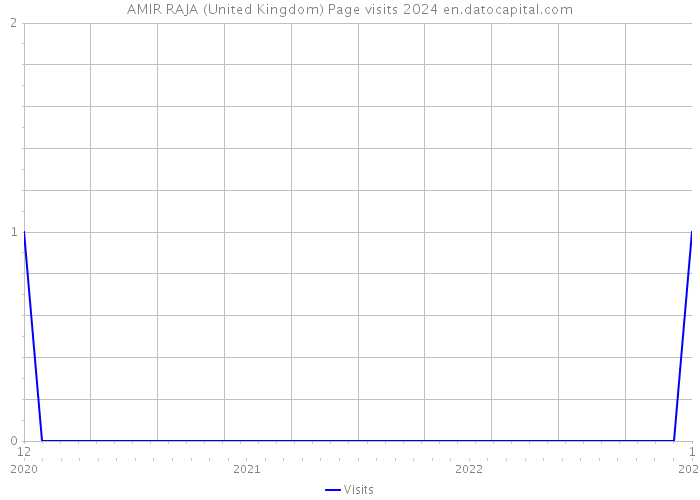 AMIR RAJA (United Kingdom) Page visits 2024 