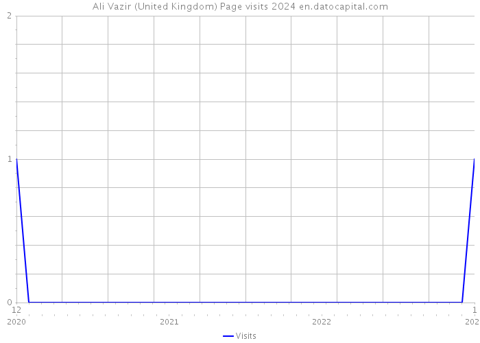 Ali Vazir (United Kingdom) Page visits 2024 