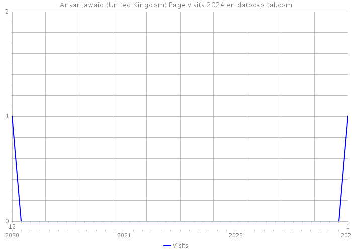 Ansar Jawaid (United Kingdom) Page visits 2024 