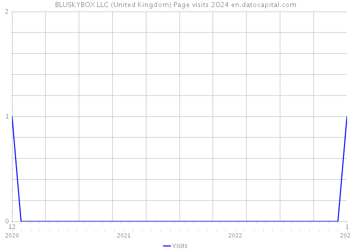 BLUSKYBOX LLC (United Kingdom) Page visits 2024 