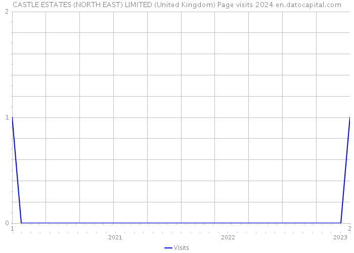 CASTLE ESTATES (NORTH EAST) LIMITED (United Kingdom) Page visits 2024 