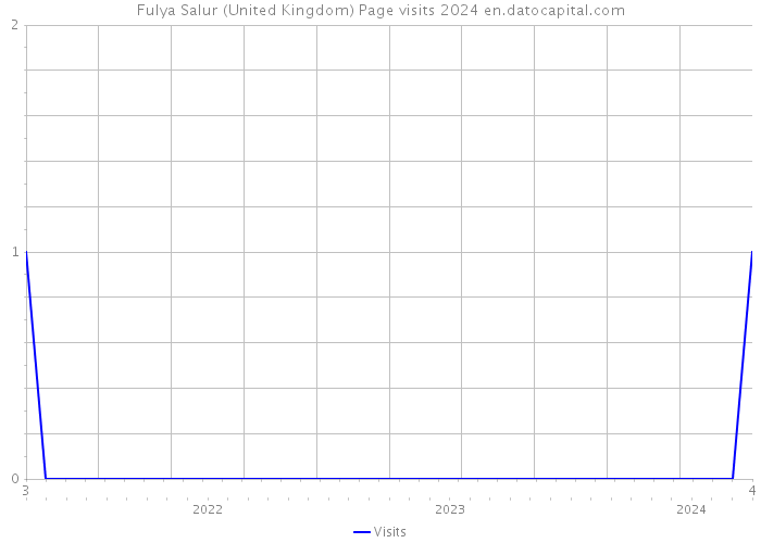 Fulya Salur (United Kingdom) Page visits 2024 
