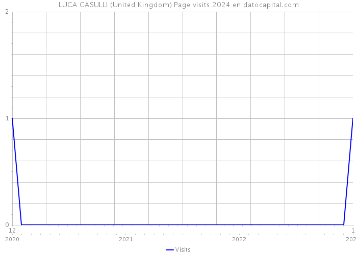 LUCA CASULLI (United Kingdom) Page visits 2024 