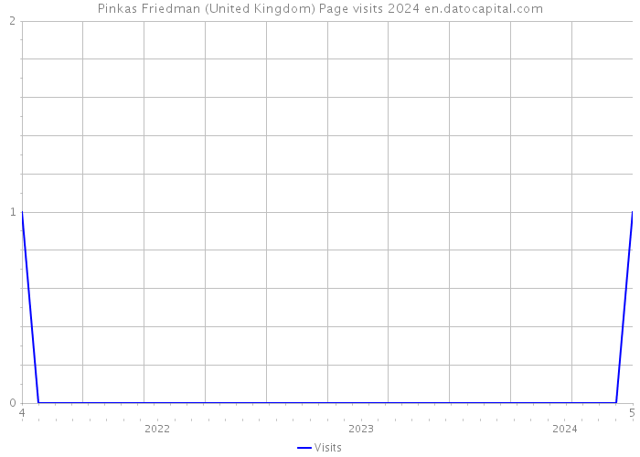 Pinkas Friedman (United Kingdom) Page visits 2024 