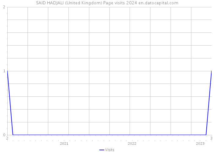 SAID HADJALI (United Kingdom) Page visits 2024 