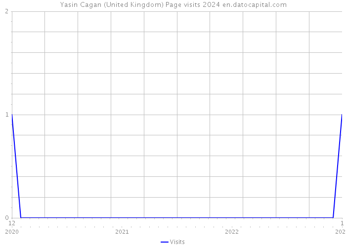 Yasin Cagan (United Kingdom) Page visits 2024 