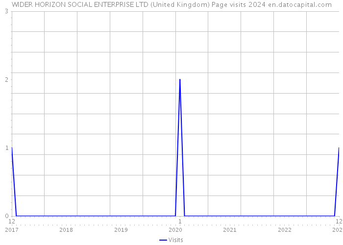 WIDER HORIZON SOCIAL ENTERPRISE LTD (United Kingdom) Page visits 2024 