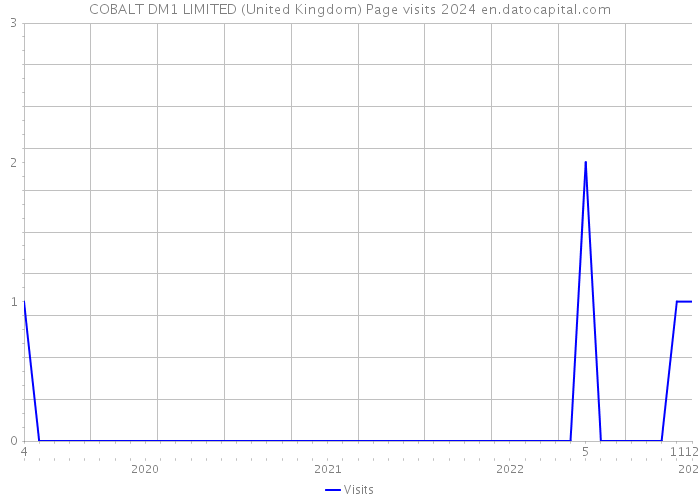 COBALT DM1 LIMITED (United Kingdom) Page visits 2024 