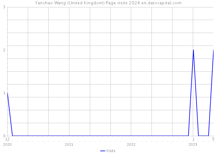 Yanchao Wang (United Kingdom) Page visits 2024 