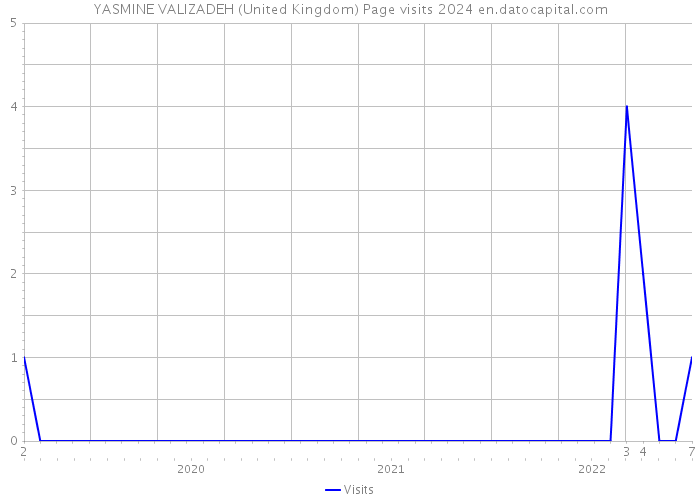 YASMINE VALIZADEH (United Kingdom) Page visits 2024 