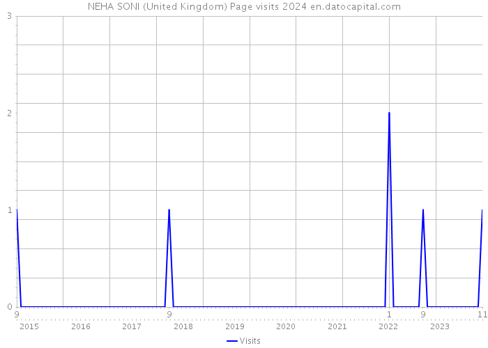 NEHA SONI (United Kingdom) Page visits 2024 