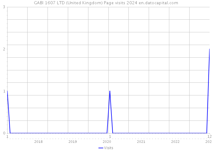 GABI 1607 LTD (United Kingdom) Page visits 2024 