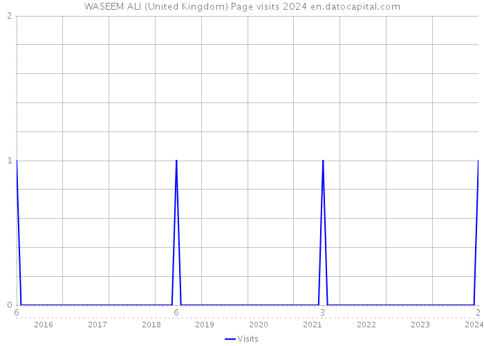 WASEEM ALI (United Kingdom) Page visits 2024 
