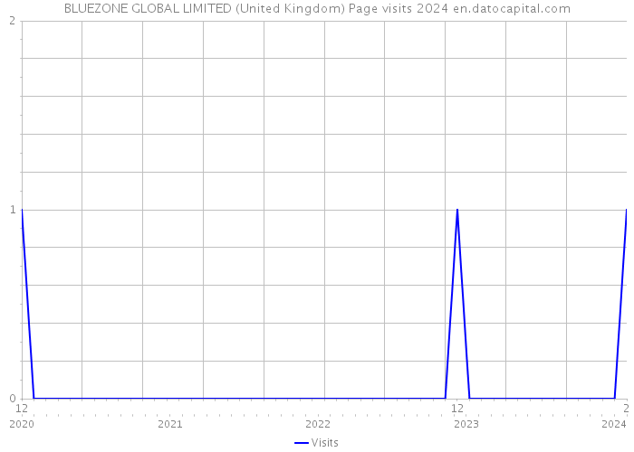 BLUEZONE GLOBAL LIMITED (United Kingdom) Page visits 2024 