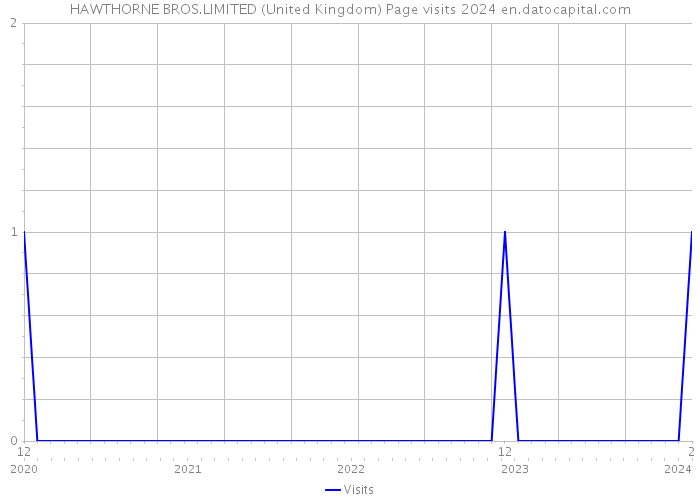 HAWTHORNE BROS.LIMITED (United Kingdom) Page visits 2024 