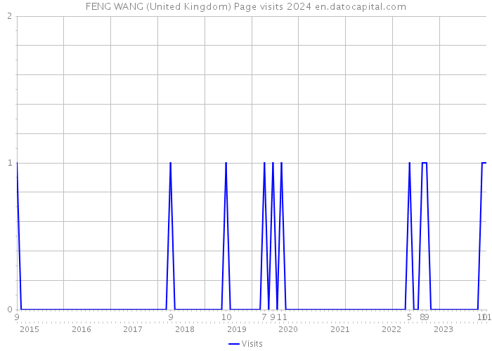 FENG WANG (United Kingdom) Page visits 2024 