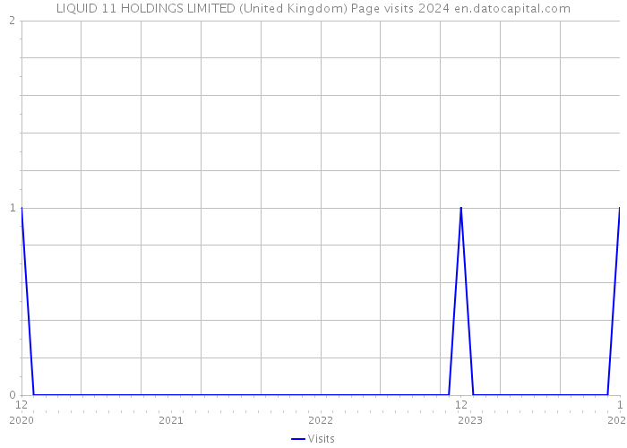 LIQUID 11 HOLDINGS LIMITED (United Kingdom) Page visits 2024 