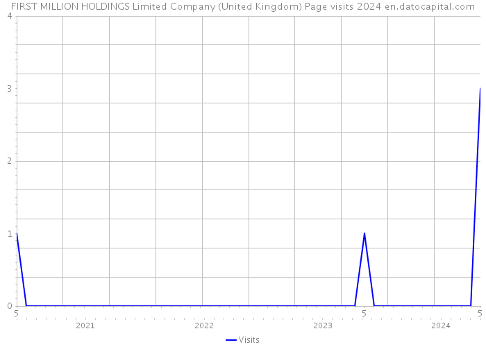 FIRST MILLION HOLDINGS Limited Company (United Kingdom) Page visits 2024 